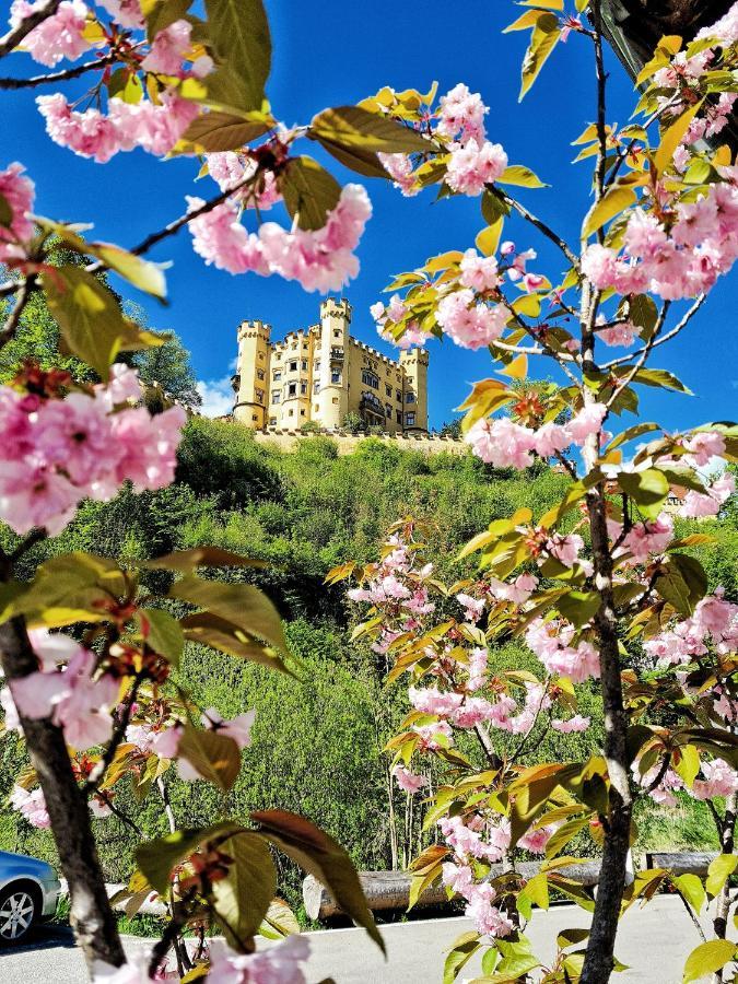 Hotel Parkhotel Bad Faulenbach 3*
